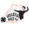 Logo of the association Volley Badminton Lyon Métropole 5